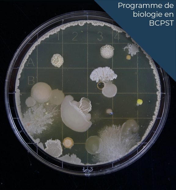 programme biologie prepa bcpst